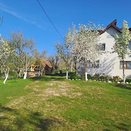 Hotel Casa Cristalul Muntilor Poiana Mărului Zewnętrze zdjęcie
