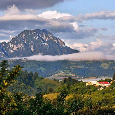 Hotel Casa Cristalul Muntilor Poiana Mărului Zewnętrze zdjęcie