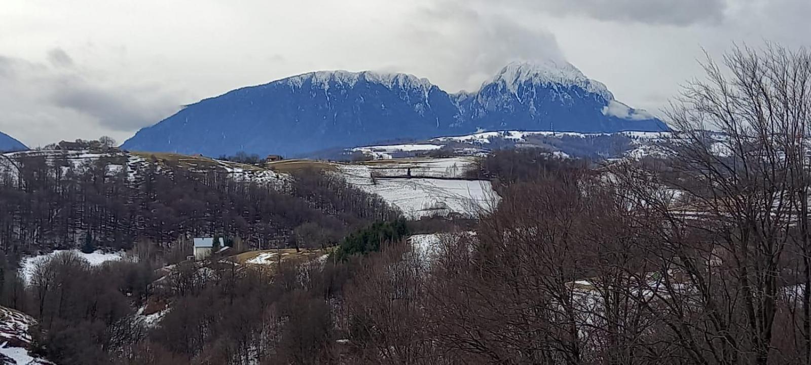 Hotel Casa Cristalul Muntilor Poiana Mărului Zewnętrze zdjęcie