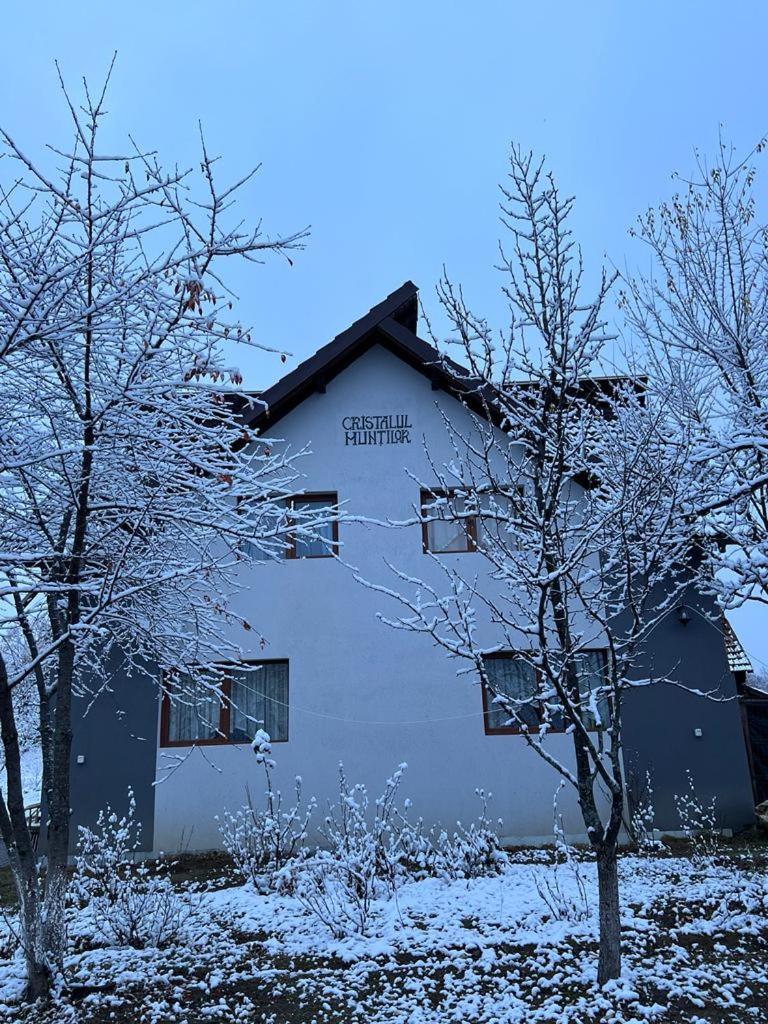 Hotel Casa Cristalul Muntilor Poiana Mărului Zewnętrze zdjęcie