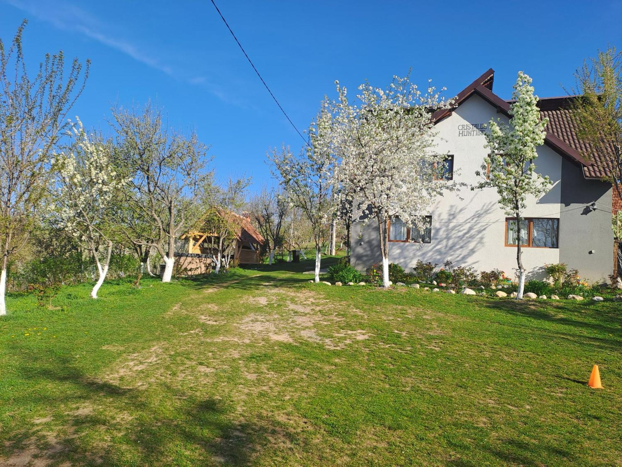 Hotel Casa Cristalul Muntilor Poiana Mărului Zewnętrze zdjęcie