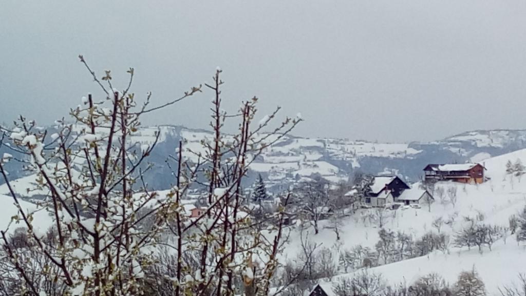 Hotel Casa Cristalul Muntilor Poiana Mărului Zewnętrze zdjęcie