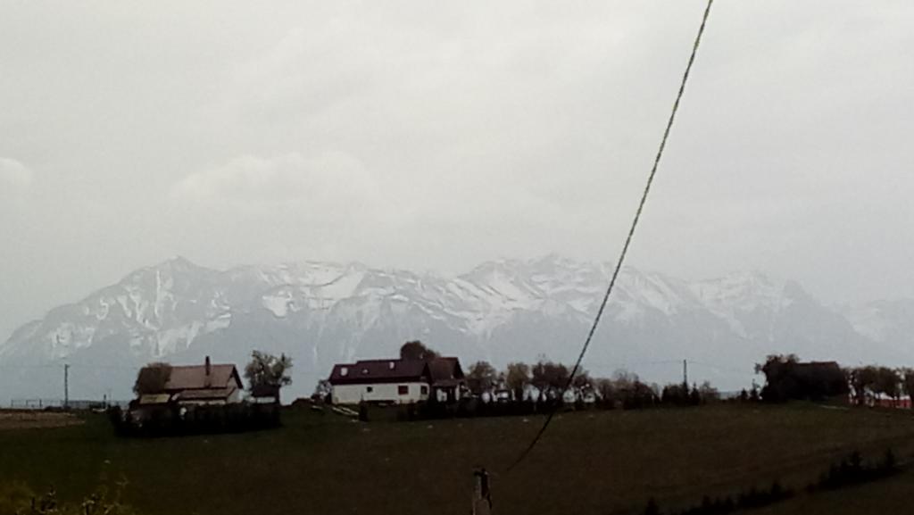 Hotel Casa Cristalul Muntilor Poiana Mărului Zewnętrze zdjęcie