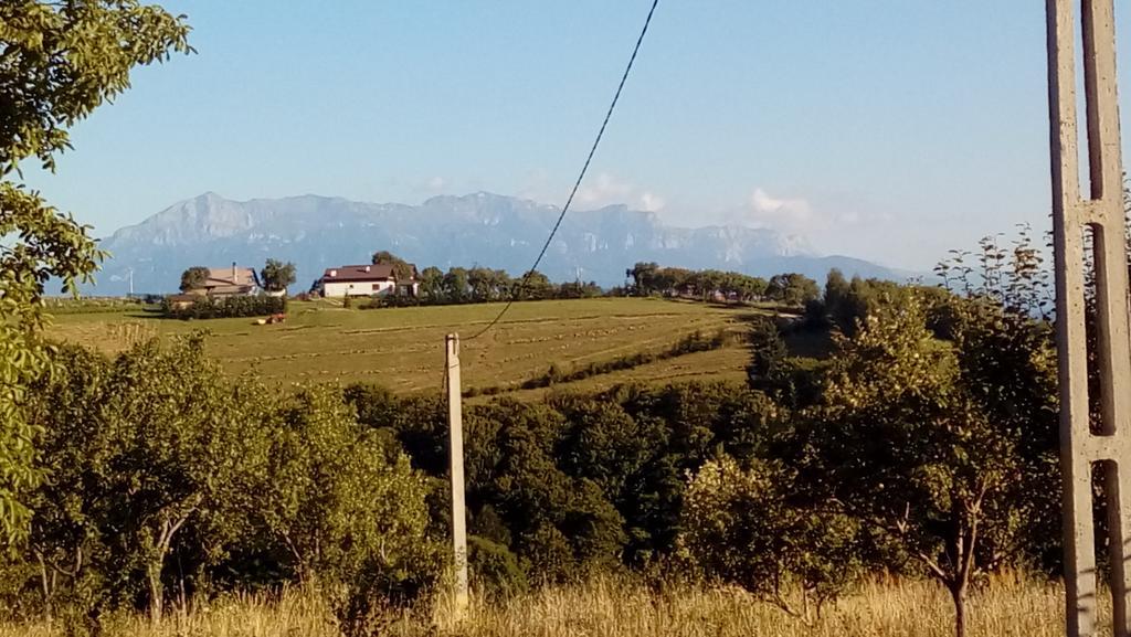 Hotel Casa Cristalul Muntilor Poiana Mărului Zewnętrze zdjęcie