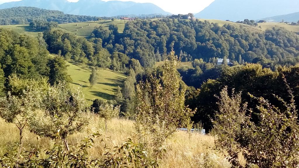 Hotel Casa Cristalul Muntilor Poiana Mărului Zewnętrze zdjęcie