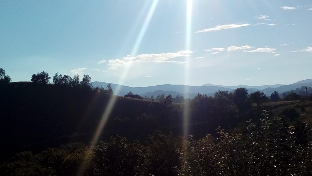 Hotel Casa Cristalul Muntilor Poiana Mărului Zewnętrze zdjęcie