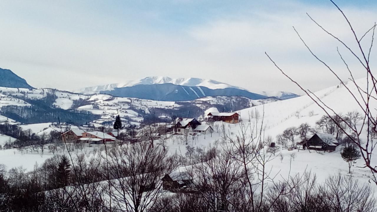 Hotel Casa Cristalul Muntilor Poiana Mărului Zewnętrze zdjęcie