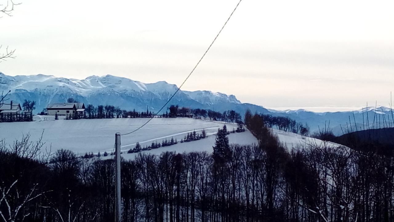 Hotel Casa Cristalul Muntilor Poiana Mărului Zewnętrze zdjęcie