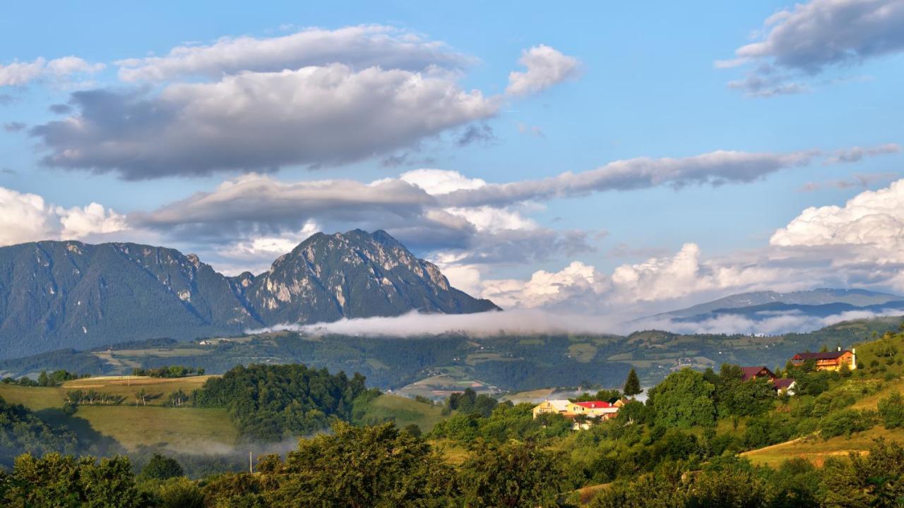Hotel Casa Cristalul Muntilor Poiana Mărului Zewnętrze zdjęcie